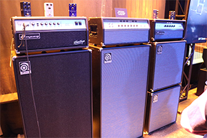 50th Anniversary ampeg amps
