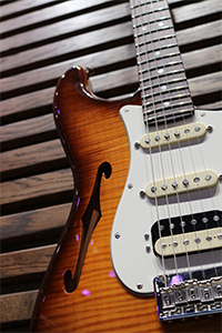 Fender Flame Maple Thinline Strat