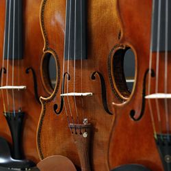 Orchestral Stringed Instruments