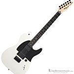 Fender Jim Root Telecaster Artist Series Electric Guitar