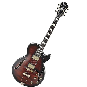 Ibanez Artcore Expressionist AG95 Hollowbody Electric Guitar