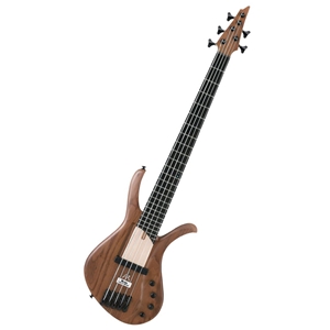Ibanez AFR5WAP Premium 5-String Electric Bass Guitar