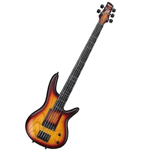 Ibanez GWB20TH Gary Willis Limited Edition 20th Anniversary Signature 5-String Electric Bass Guitar