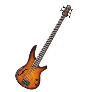 Ibanez SRH505 SR Series 5-String Semi-Hollowbody Electric Bass Guitar