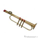 Kazoo Trumpet