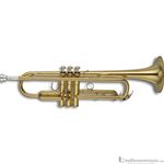Yamaha YTR8310Z Professional Bobby Shew Trumpet