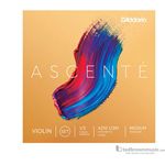 D'Addario Ascente Violin Strings Set 1/2 Medium Tension