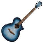 AEW Series Acoustic Electric