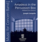Amadeus in the Percussion box