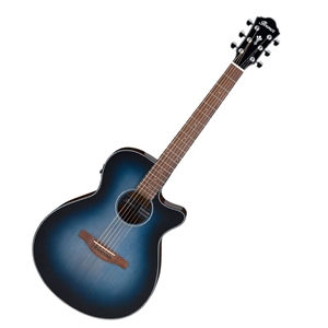 Ibanez AEG50 Small-body Acoustic-Electric Guitar