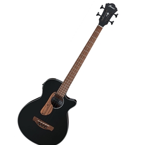Ibanez AEGB24 Acoustic-Electric Bass Guitar