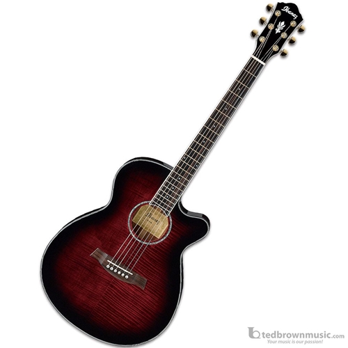 Ibanez AEG240 Cutaway AEG Series Acoustic-Electric Guitar