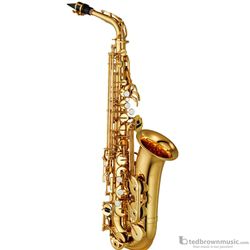 Yamaha YAS480 Hand Engraved Intermediate Alto Saxophone