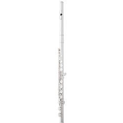 Eastman EFL210 Student Model Flute