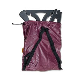 Cello Stand and Chair Bag
