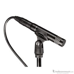 Audio Technica AT2021 Custom Condenser Microphone