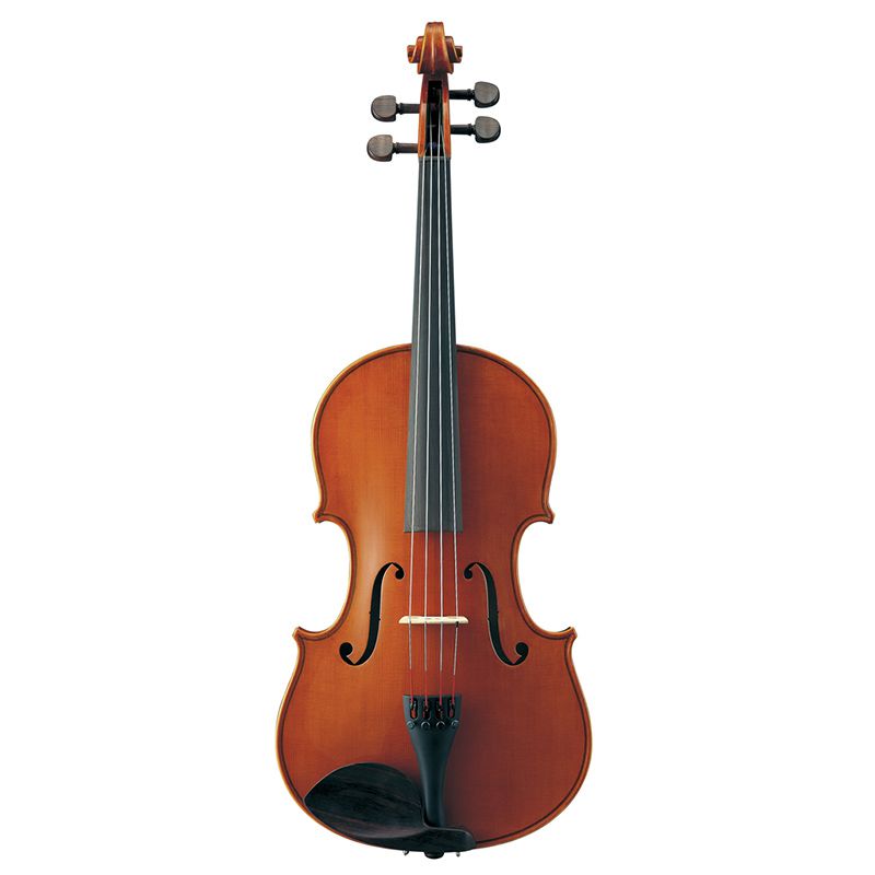 Rent a Viola at Ted Brown Music