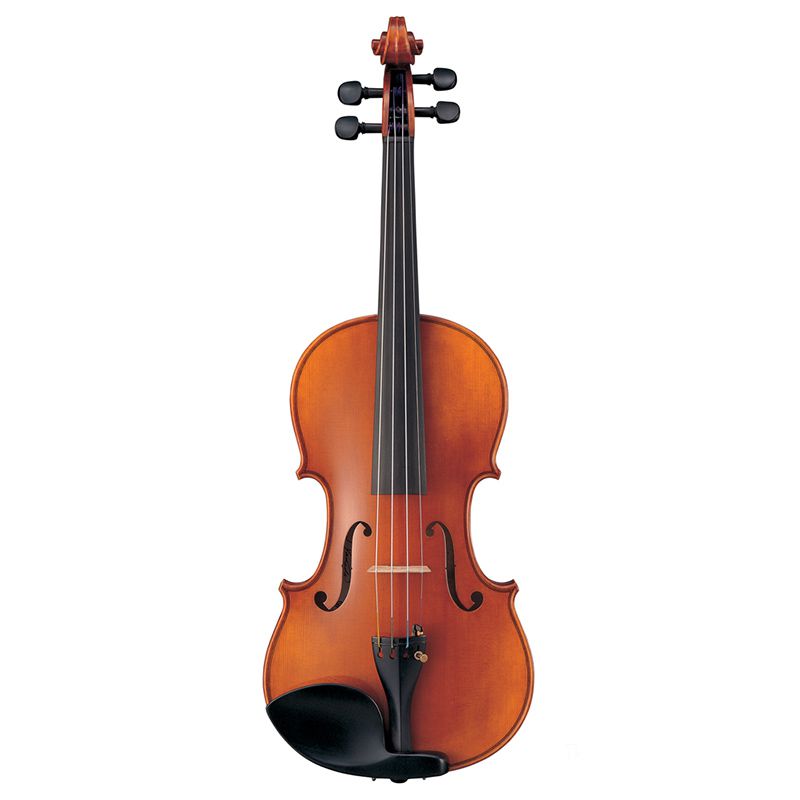 Rent a Violin at Ted Brown Music
