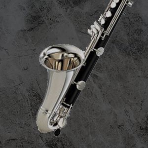 Rent a Bass Clarinet at Ted Brown Music